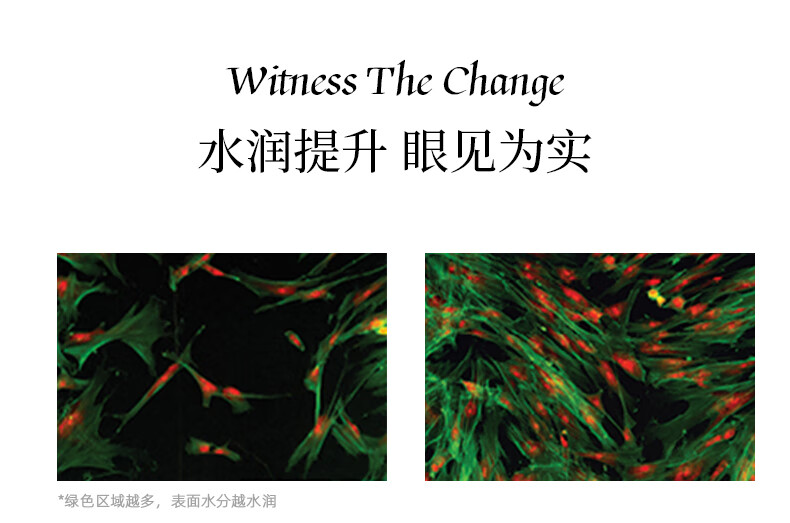 男士洗護(hù)用品