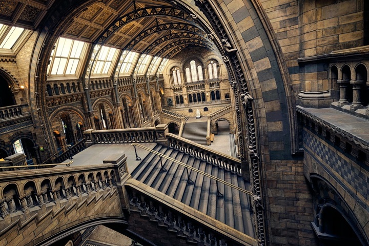 Reacham男士洗護用品，自然科技，引領健康洗護新趨勢